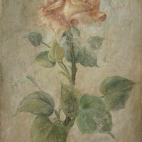 Long Stemmed Rose Fresco