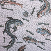 Marble Fish Mosaic