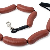 Sausage Dog Leash