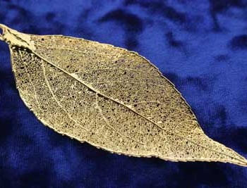 Gold Evergreen Leaf Pendant