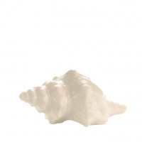 Seashell Soap