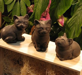 Garden Kitten Trio