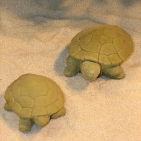 Garden Turtles