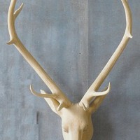 Hand-Carved Wooden Stag Head