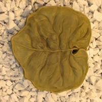 Leaf Step Stone
