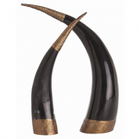 Scrimshaw Tipped Horns