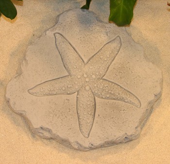 Starfish Step Stone