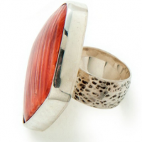 Striped Oyster Ring, detail