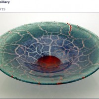 Capillary Bowl