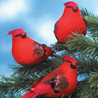 Cardinal Clip OrnamentsCarve Soapstone Turtles