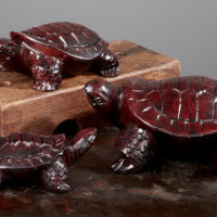 Carve Soapstone Turtles