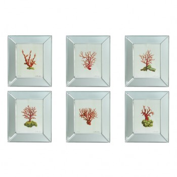 Coral Prints in Mirror Frames