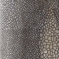 Gray Shagreen Lamp, detail