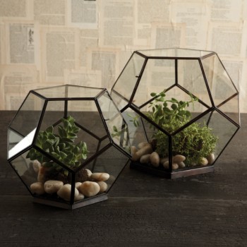Octagonal Glass Boxes