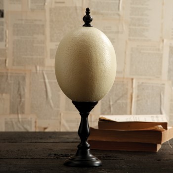 Ostrich Egg on Stand