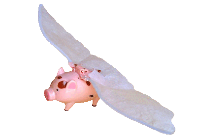 15 Flying Pig Toy