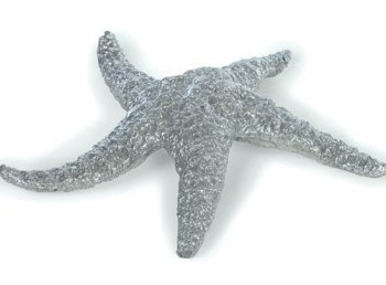 9 Giant Starfish Sculpture