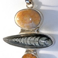 Coral, Orthocereas, Ammonite Pendant