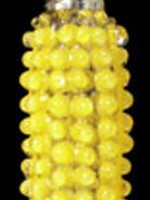 Corn Shaker