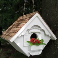 Little Wren Hanging Bird House