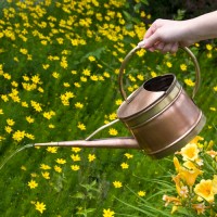 Oval Copper Watering Can