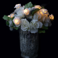 Warm White Rose LED String Lights, detail