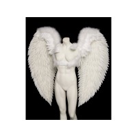 Arch Angel Wings