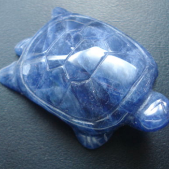 Sodalite Turtle Charm