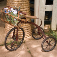 Garden - Tricycle planter
