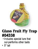 Glass Fruit Fly Trap