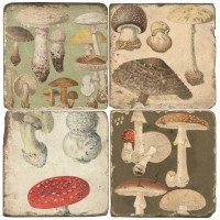 Mushroom Terracotta Tiles