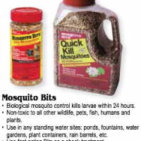 Non-Toxic Mosquito Control