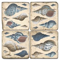 Seashell Terracotta Tiles