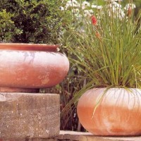 Smooth Sided Terracotta Vases