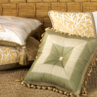 Tropic of Capricorn Pillows