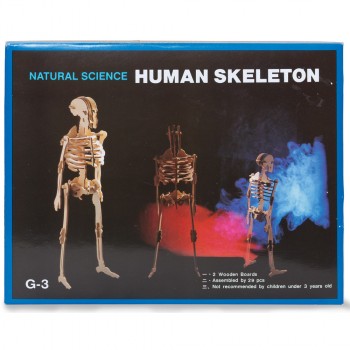 Build Your Own Woodcraft Skeleton