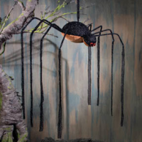 Halloween Party Spider