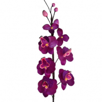 Hand-Carved Wooden Orchid Flowers