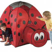 Lady Bug Tent