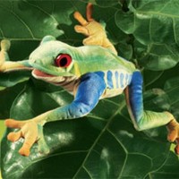 Tree Frog Hand Puppet